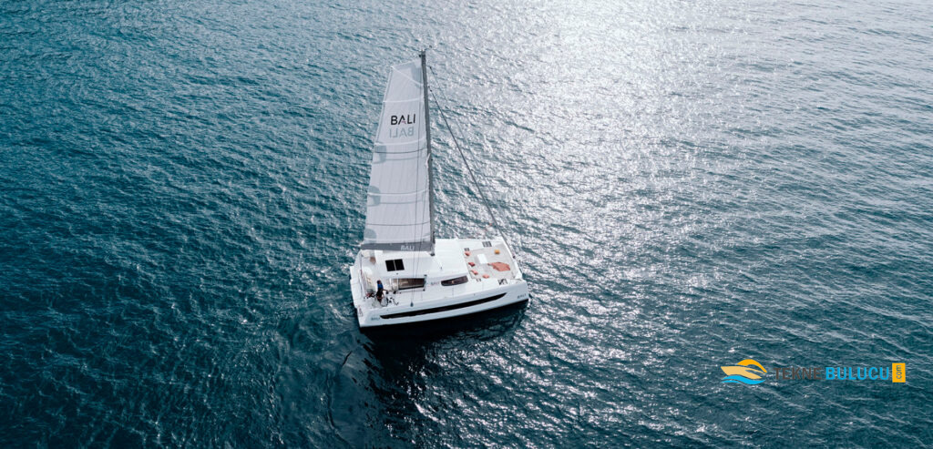 Bali Catsmart 2023 inceleme