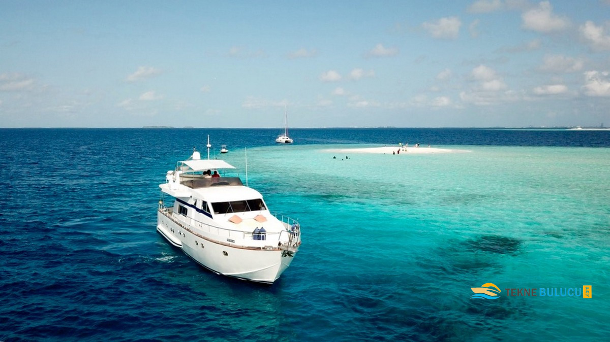 Falcon 60 2001 inceleme