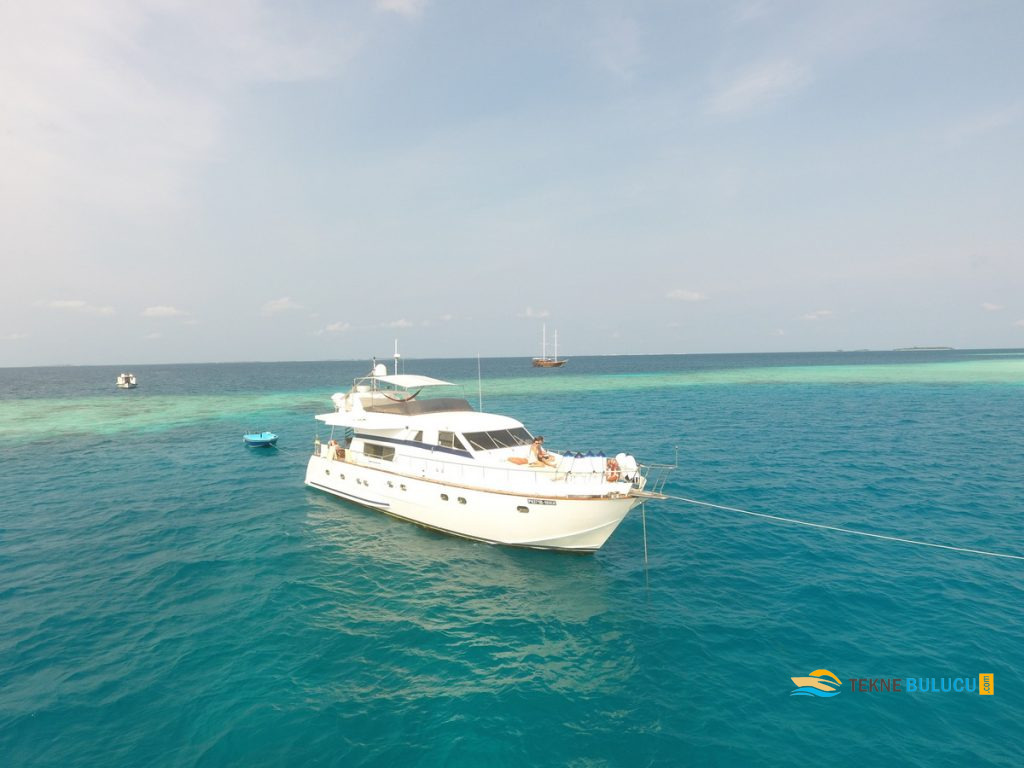 Falcon 60 2010 inceleme